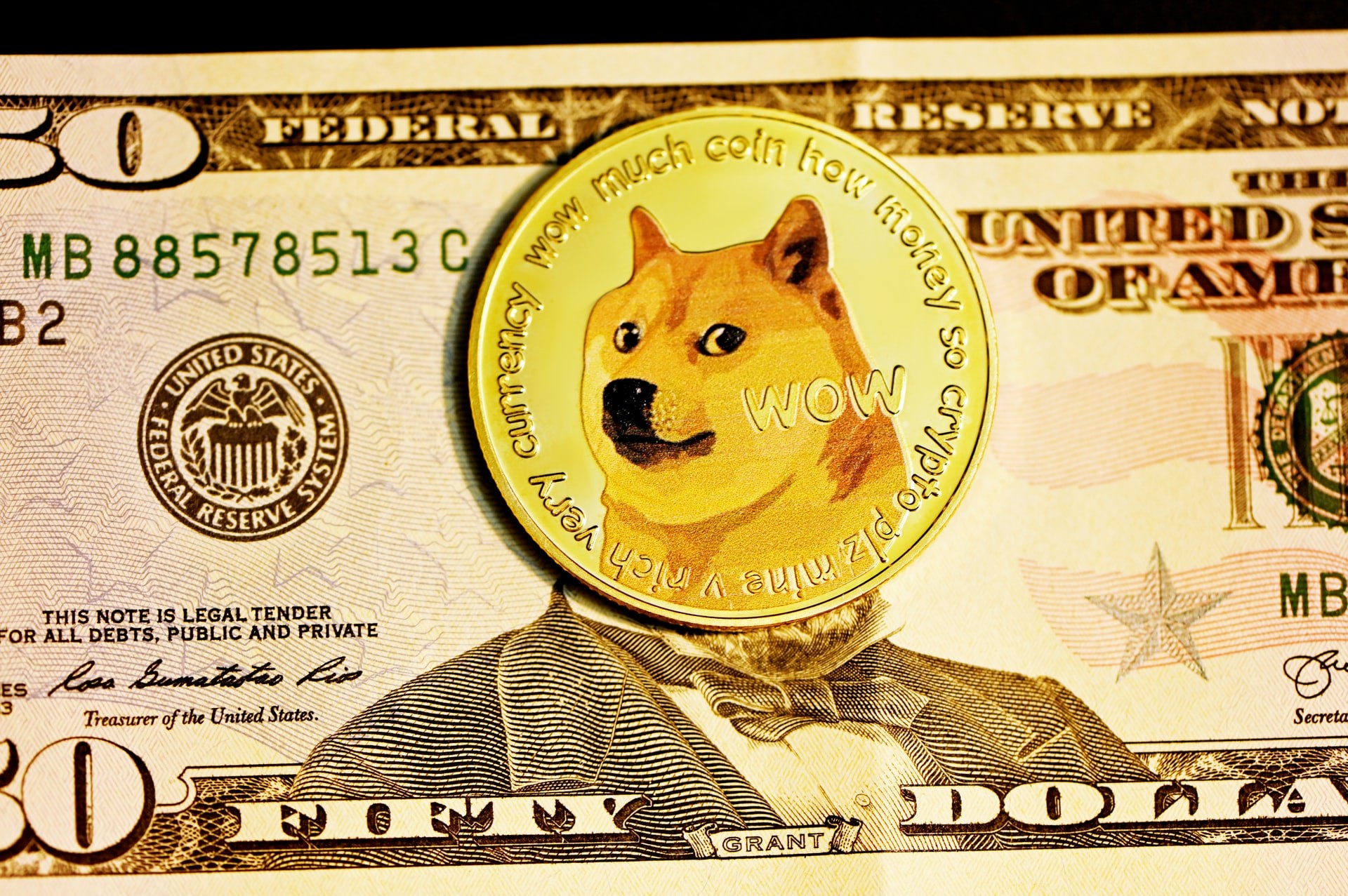 dogecoin deposit 1xbit