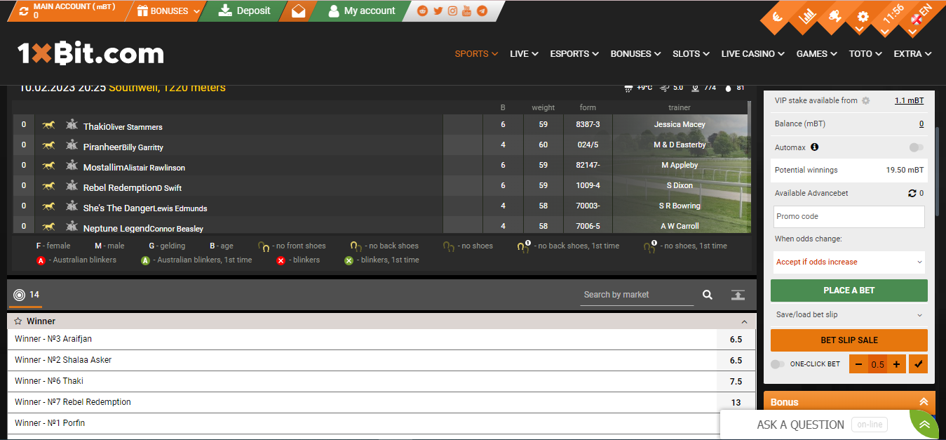 horse_race_betting_tips