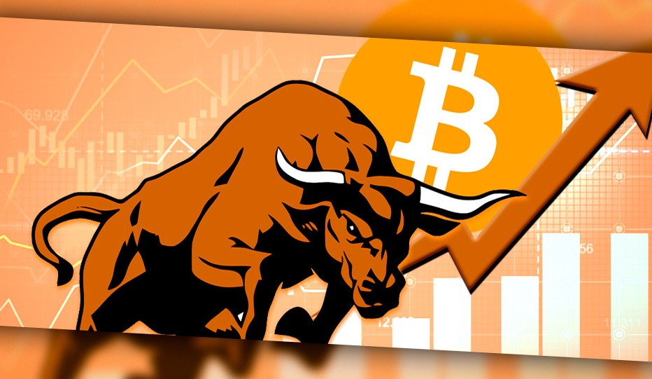 crypto bull market