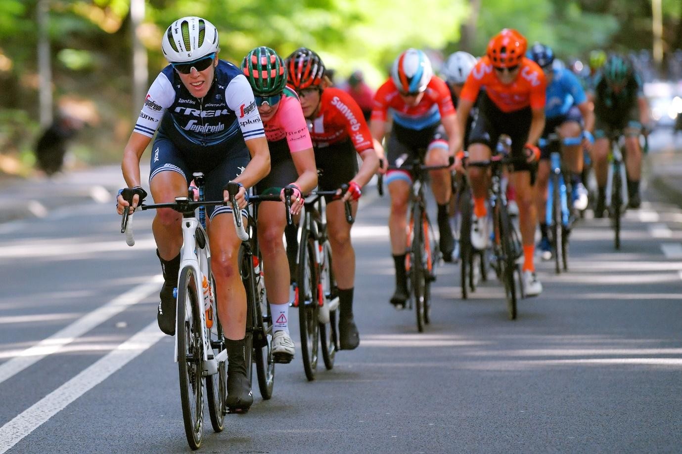 other sports 1xbit september