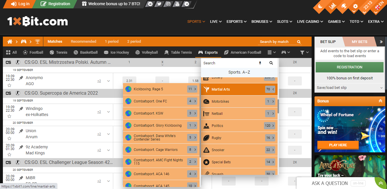 martial arts betting