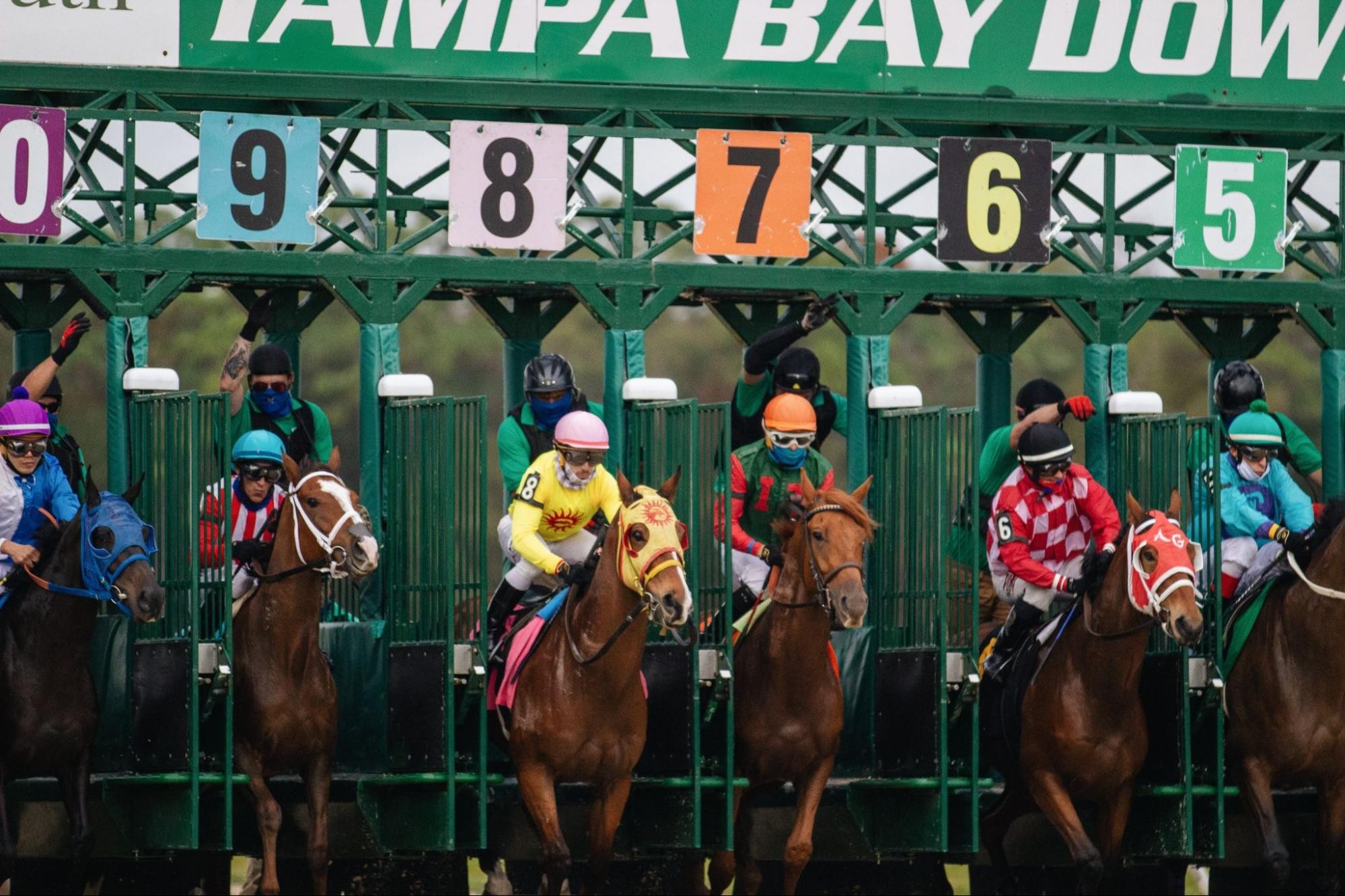 horse_racing_betting_systems